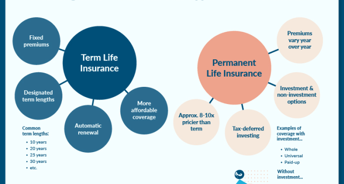 Common Types of Life Insurance Infographic