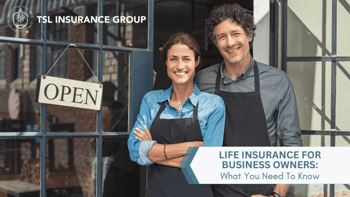 Life Insurance for Business Owners: What You Need to Know - TSL ...